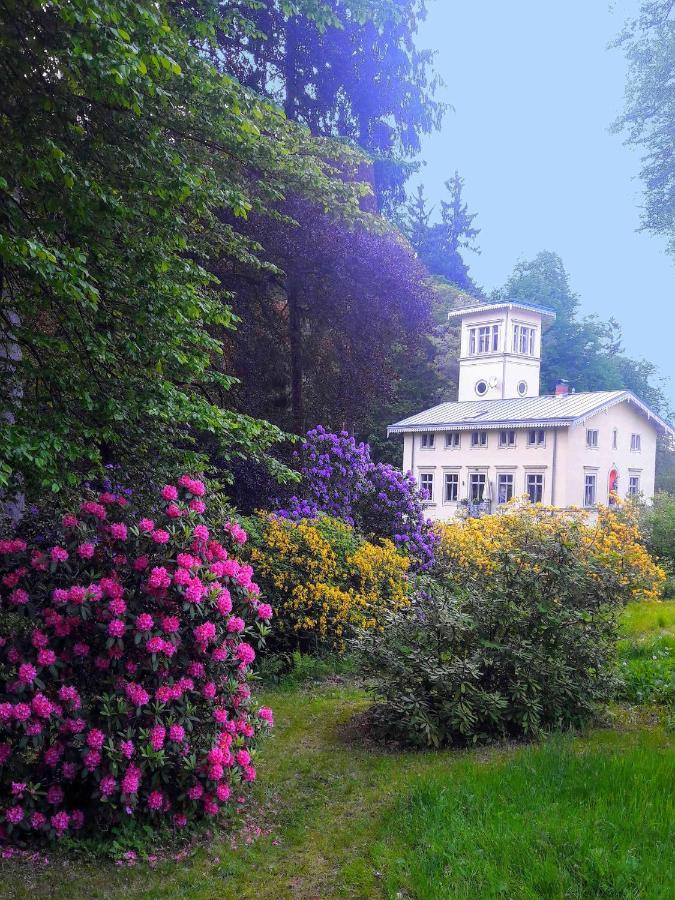 Rapunzel Trifft Dornroeschen Villa Rosenthal-Bielatal Exterior photo