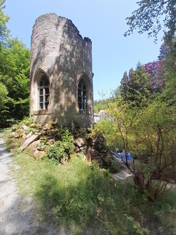 Rapunzel Trifft Dornroeschen Villa Rosenthal-Bielatal Exterior photo